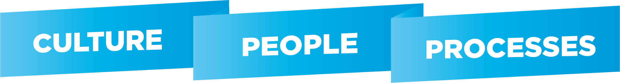 Culture, People, Process